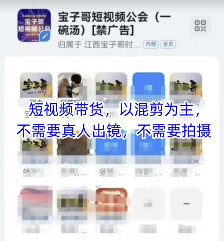 宝子哥头部团队短视频带货，以混剪为主，不需要真人出镜，不需要拍摄【更新11月】-小目标云网创