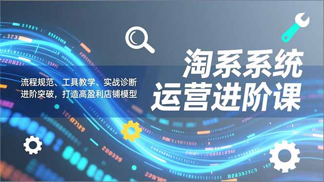 淘系系统运营进阶课2.0,流程规范、工具教学、实战诊断,进阶突破,打造高盈利店铺模型-小目标云网创