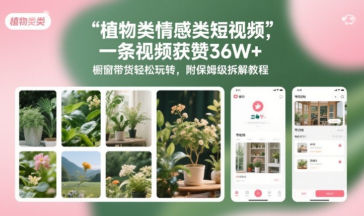 植物类情感类短视频,一条视频获赞36W+,橱窗带货轻松玩转,附保姆级拆解教程-小目标云网创