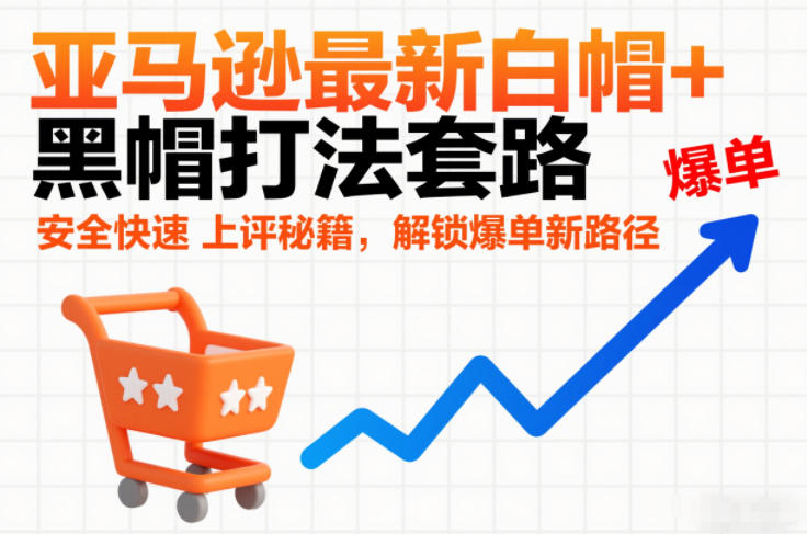 亚马逊最新白帽+黑帽打法套路，安全快速上评秘籍，解锁爆单新路径-小目标云网创