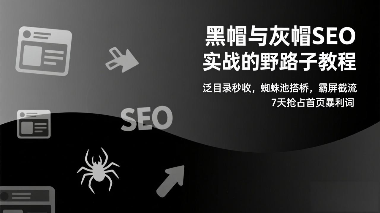 黑帽与灰帽SEO实战的野路子教程:泛目录秒收,蜘蛛池搭桥,霸屏截流,7天抢占首页暴利词-小目标云网创